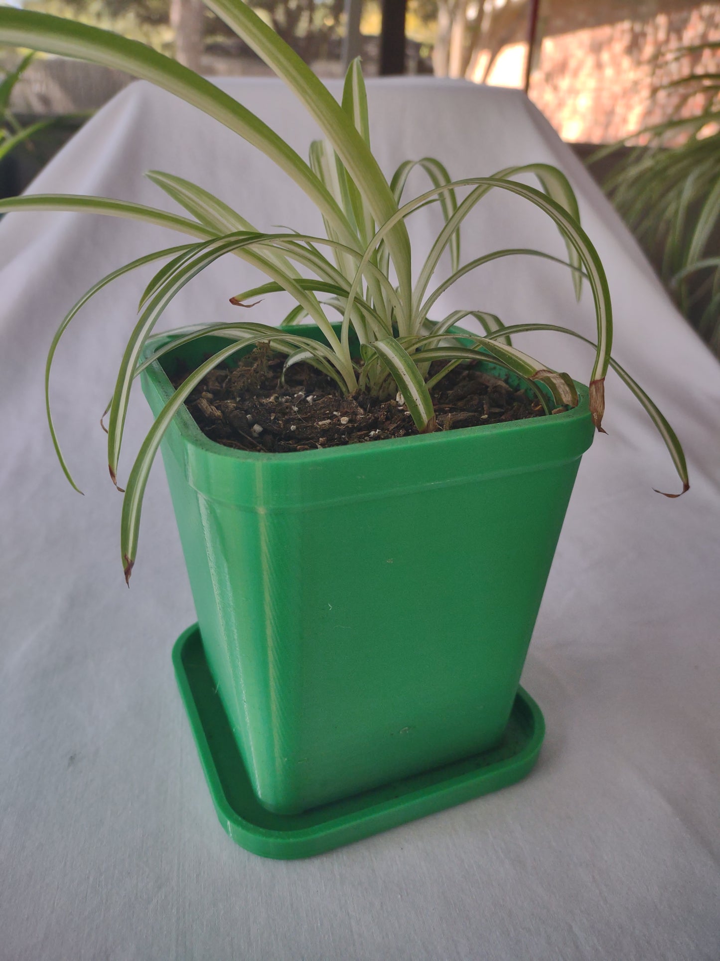 Square Sprout Haven - 3D Printed Self-Watering Planter with Drain Tray