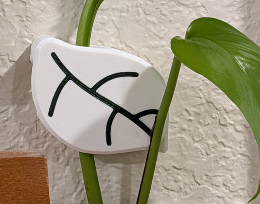 Decorative LeafClip Plant Wall Clip – Vine Houseplant Support Trellis